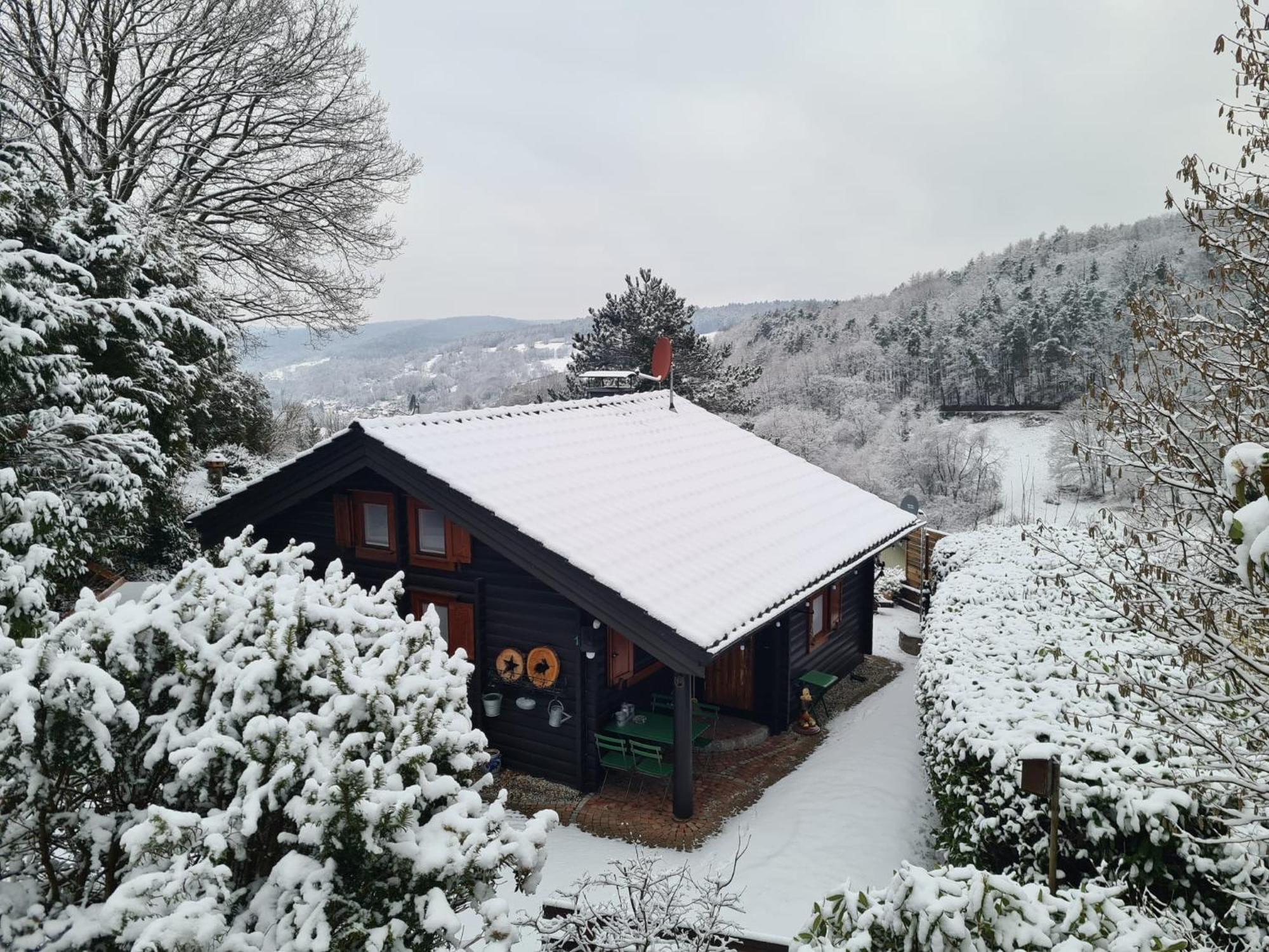 Spessart Dammbach